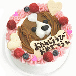 ケーキ
