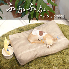 ふかふかクッション特集