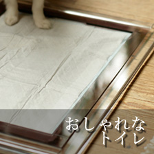 おしゃれなトイレ